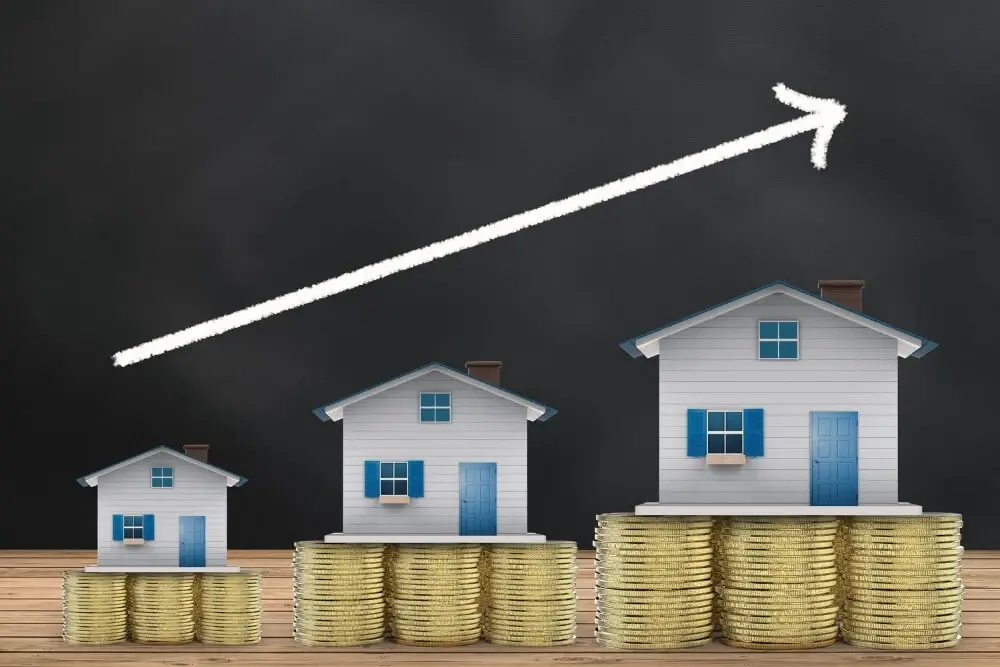 Steady Income with High Returns